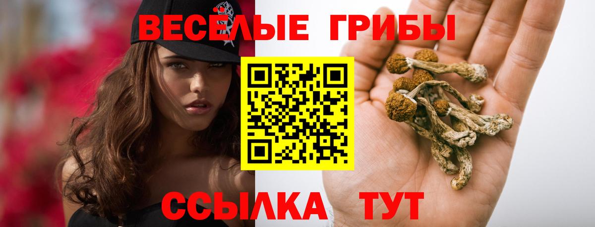 Псилоцибиновые грибы Magic Shrooms Балашиха